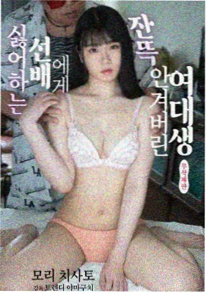 旧城故事剧集封面图